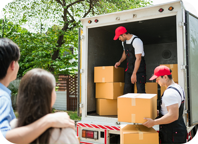 Courier Services
